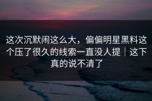 这次沉默闹这么大，偏偏明星黑料这个压了很久的线索一直没人提｜这下真的说不清了