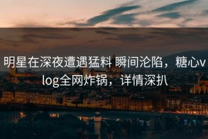明星在深夜遭遇猛料 瞬间沦陷，糖心vlog全网炸锅，详情深扒