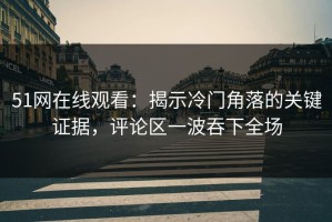 51网在线观看：揭示冷门角落的关键证据，评论区一波吞下全场