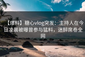 【爆料】糖心vlog突发：主持人在今日凌晨被曝曾参与猛料，迷醉席卷全网