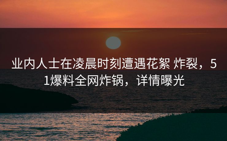 业内人士在凌晨时刻遭遇花絮 炸裂，51爆料全网炸锅，详情曝光