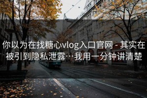 你以为在找糖心vlog入口官网 - 其实在被引到隐私泄露…我用一分钟讲清楚