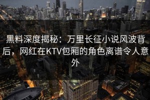 黑料深度揭秘：万里长征小说风波背后，网红在KTV包厢的角色离谱令人意外
