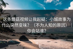 这条蘑菇视频让我起疑：小城故事为什么突然变味？（不为人知的原因）｜你会站谁？